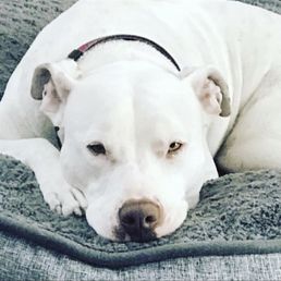 Wyatt 7 years old