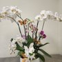 Photo of Alicia's Flowers