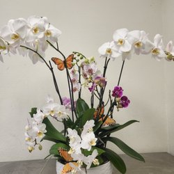 Alicia's Flowers