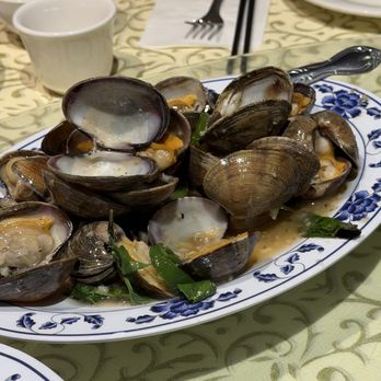 Boston Lobster - Clams in basil - Chinese Near Me - Rosemead, California Boston Lobster - Clams in basil - Chinese Near Me - Rosemead, California
