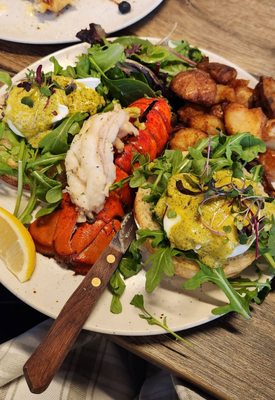 Peacock Pansy by null