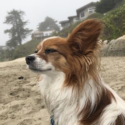 Ah the breeze Ah the breeze