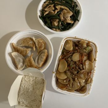 The Bund - Pan Fried Pork Dumplings 6 pcs, Rice Cake with Pork, Chicken with String Bean (and rice) - Shanghainese Near Me - Forest Hills, New York