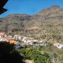 Photo of El Labrador