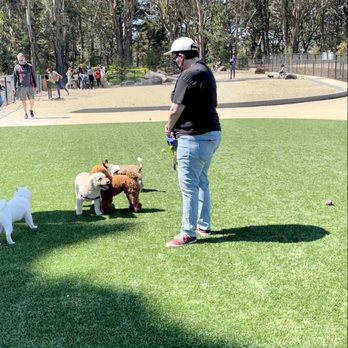 GGP Dog Training Area - Large pit of sand - Dog Parks Near Me - San Francisco, California GGP Dog Training Area - Large pit of sand - Dog Parks Near Me - San Francisco, California