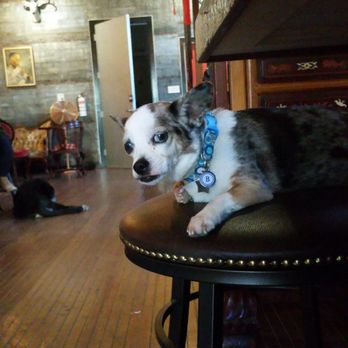 Mei Wah Beer Room - Here is Bea telling, not asking, you to hand over any and all jerky at the tap room. - Beer Bar Near Me - Isleton, California