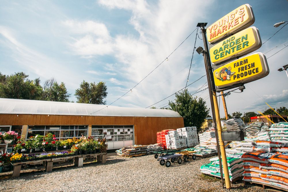 YOUNG’S MARKET & GARDEN CENTER 28 Photos & 22 Reviews Fruits & Veggies 9400 W 44th Ave