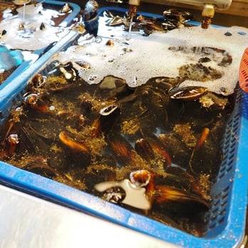 Taylor Shellfish Farms - Seafood Near Me - Seattle, Washington Taylor Shellfish Farms - Seafood Near Me - Seattle, Washington