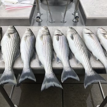 Soo Hoo Sportfishing - Boat Charters Near Me - Oakley, California Soo Hoo Sportfishing - Boat Charters Near Me - Oakley, California