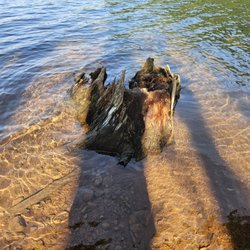 Timothy Lake