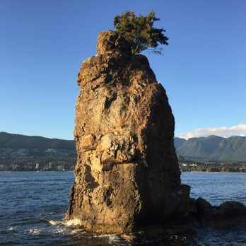 Siwash Rock - Siwash Rock and tree~ - Landmarks & Historical Buildings Near Me - Vancouver, British Columbia