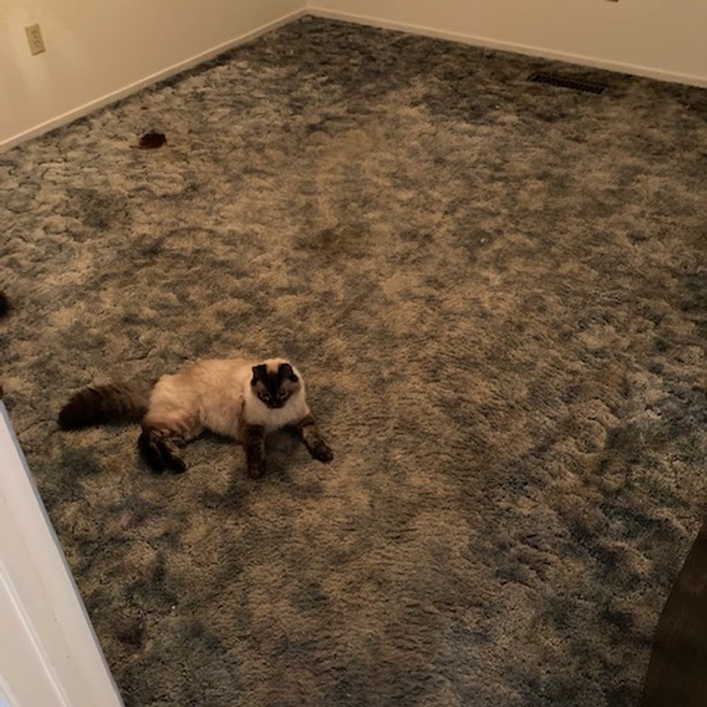 House of Carpets Flooring & Design - before bedroom 2 - Carpeting Near Me - Modesto, California House of Carpets Flooring & Design - before bedroom 2 - Carpeting Near Me - Modesto, California