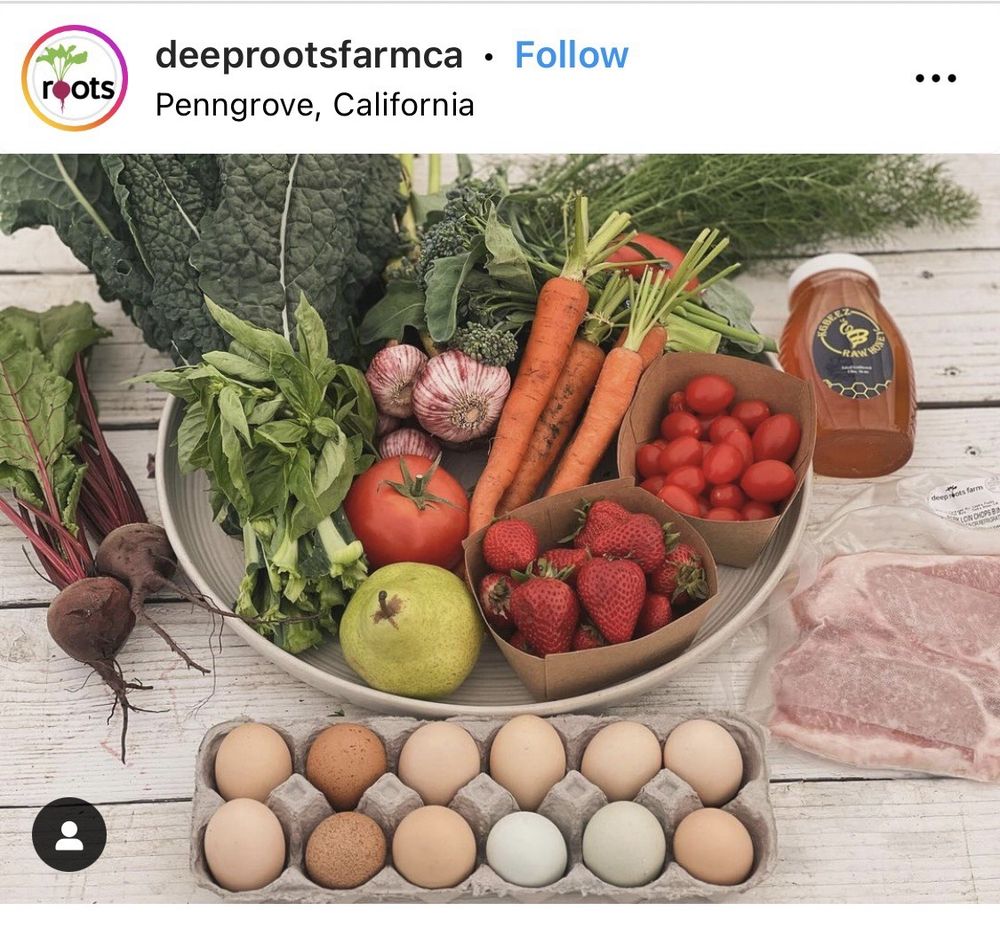 Deep Roots Farm Updated November 2025 7000 Petaluma Hill Rd