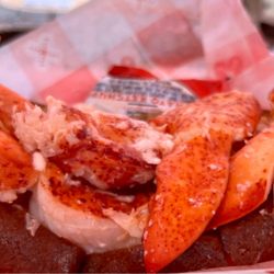 Lobster Tales Food Truck - Hot lobster roll