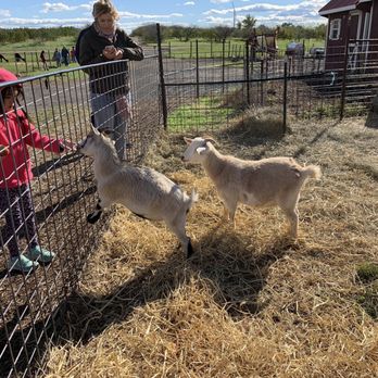 Homestead Farm - Fruits & Veggies Near Me - Poolesville, Maryland
