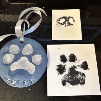 Pawprints In Home Pet Euthanasia - Veterinarians Near Me