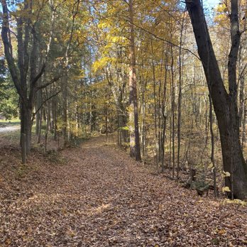 Dainty Track - Hiking Near Me - Whitchurch-Stouffville, Ontario Dainty Track - Hiking Near Me - Whitchurch-Stouffville, Ontario