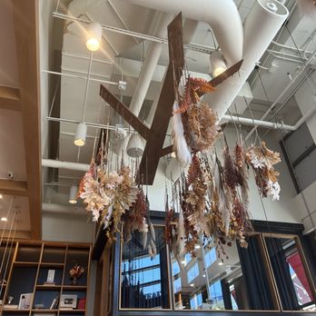 Commonwealth Joe - Fall Ceiling Decor - Cafes Near Me - Arlington, Virginia