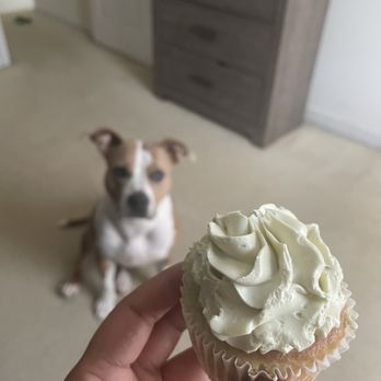 Honey Baked Bee - Matcha cupcake - Bakeries Near Me - Richmond, Virginia Honey Baked Bee - Matcha cupcake - Bakeries Near Me - Richmond, Virginia