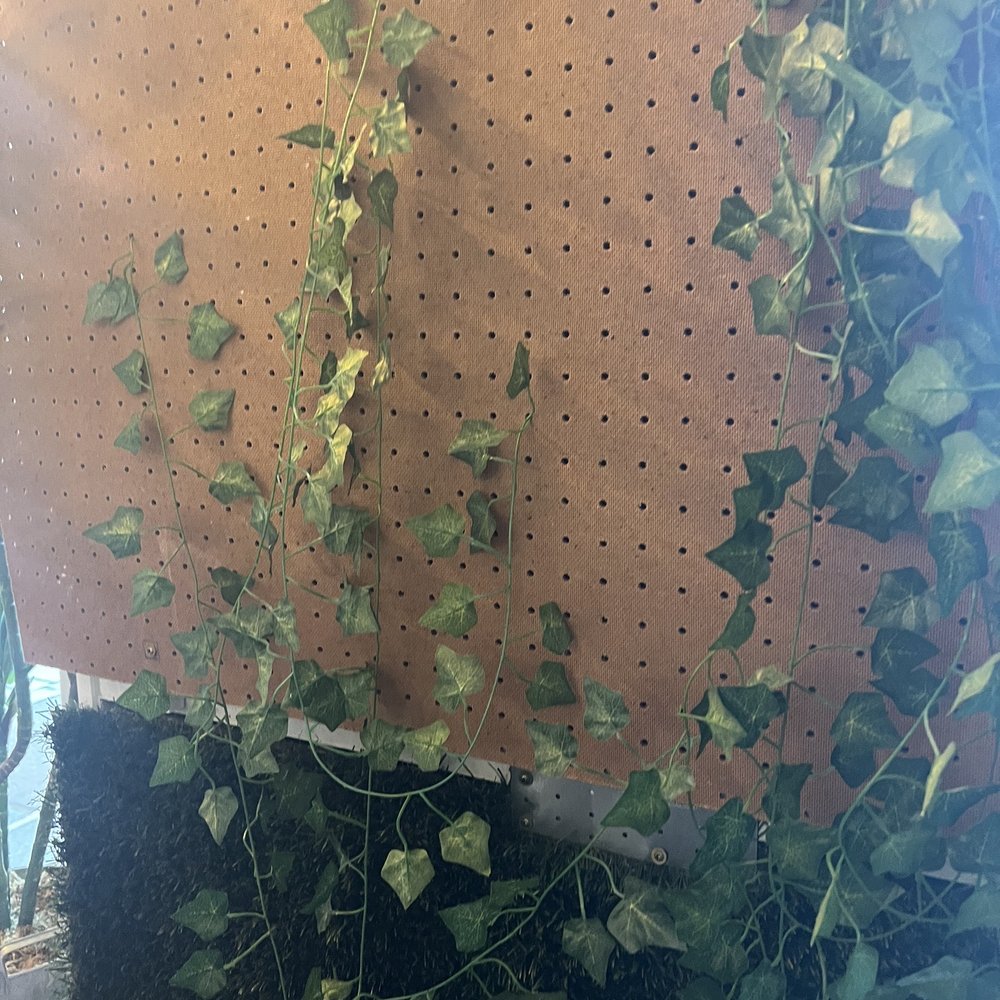 Kenz - Decor- yikes - Mediterranean Near Me - Houston, Texas