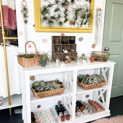 Plants In A Farmhouse - The cutest air plant station for all your air plants needs! We always stay stocked up on some fun and hard to find air plants!