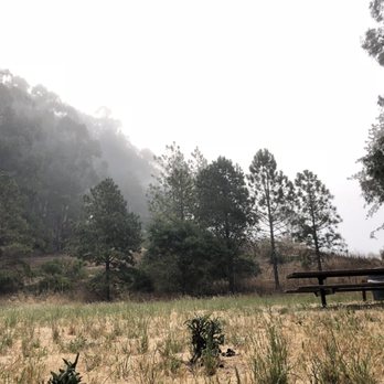 Tilden Regional Park - Hike Start at Quarry Picnic site- 7 am morning - Parks Near Me - Berkeley, California