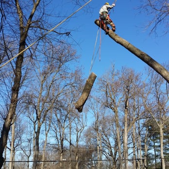 Flavio Domeneck Landscaping Inc. - They take great pride to protect your yard and landscaping. - Tree Services Near Me - Annandale, Virginia Flavio Domeneck Landscaping Inc. - They take great pride to protect your yard and landscaping. - Tree Services Near Me - Annandale, Virginia