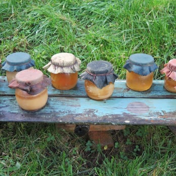Hobbiton - Tours Near Me - Matamata, WKO Hobbiton - Tours Near Me - Matamata, WKO