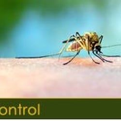 Emory Brantley & Sons Termite and Pest Control