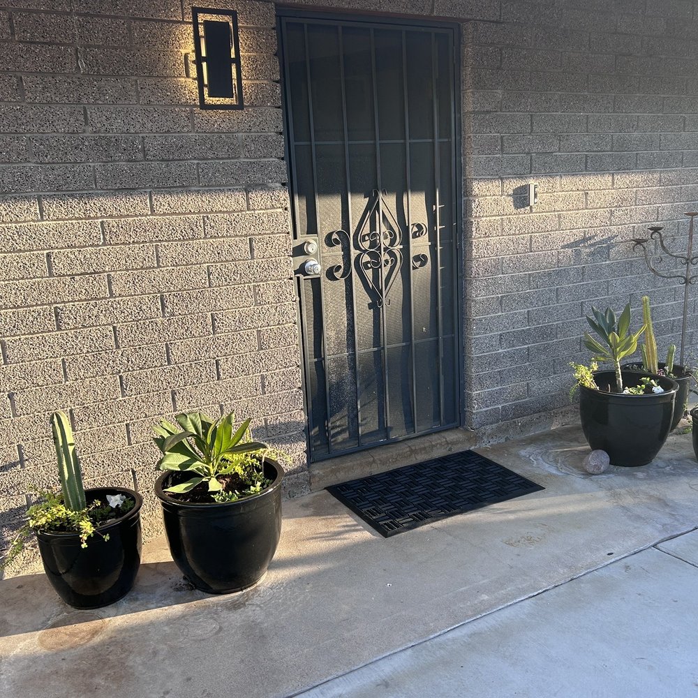 My new planters My new planters