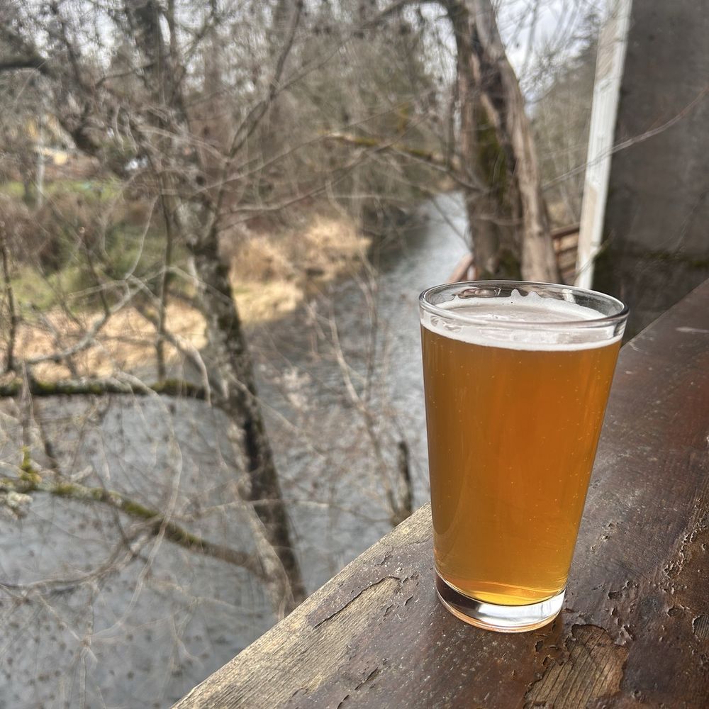 IPA creekside!