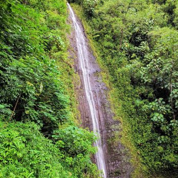 Mānoa Falls Trail - Hiking Near Me - Honolulu, Hawaii