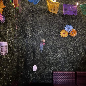 Back Door Tacos - Tacos Near Me - Washington, DC, District of Columbia Back Door Tacos - Tacos Near Me - Washington, DC, District of Columbia