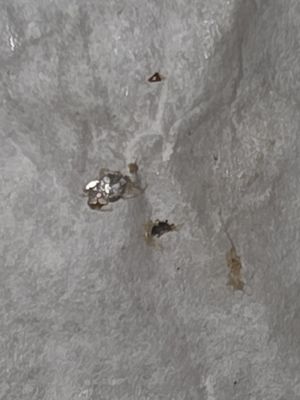 Jalapeño Buck's by null