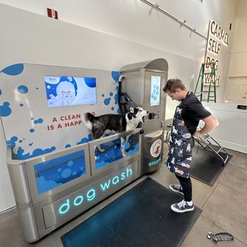 CARMEL SELF DOG WASH CLOSED Updated May 2025 17 Photos 26265 Carmel Rancho Blvd Carmel by the Sea California Pet Groomers Phone Number Yelp
