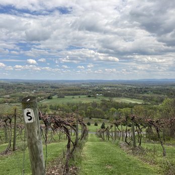 Bluemont Vineyard - The view from the registration table - Venues & Event Spaces Near Me - Bluemont, Virginia Bluemont Vineyard - The view from the registration table - Venues & Event Spaces Near Me - Bluemont, Virginia