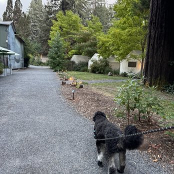 AutoCamp Russian River - Walk around the campgrounds - Hotels Near Me - Guerneville, California
