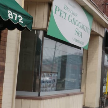 Beaches Pet Grooming Spa - Pet Groomers Near Me - Toronto, Ontario Beaches Pet Grooming Spa - Pet Groomers Near Me - Toronto, Ontario