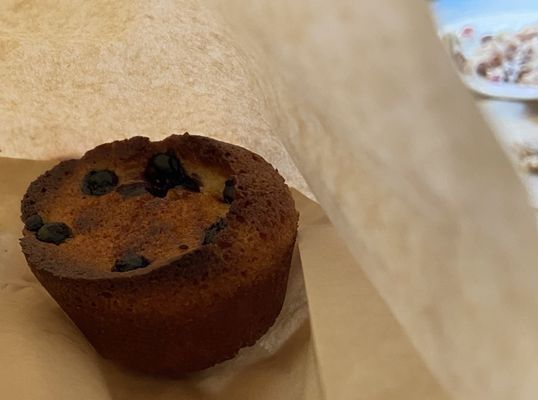 Petite MarieBette by null