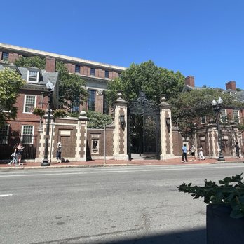 Tatte Bakery & Cafe | Harvard Square - View from the sidewalk seating - Coffee & Tea Near Me - Cambridge, Massachusetts