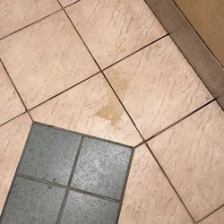 Statewide Enterprises - Dog urine