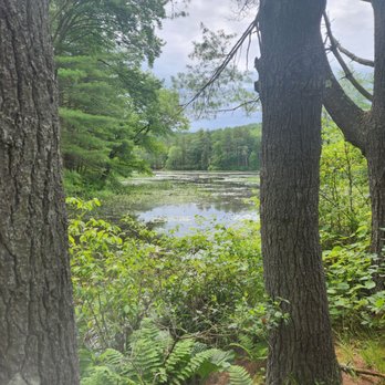 Grenville Park - Ware River borders the entire length of the park - Parks Near Me - Ware, Massachusetts