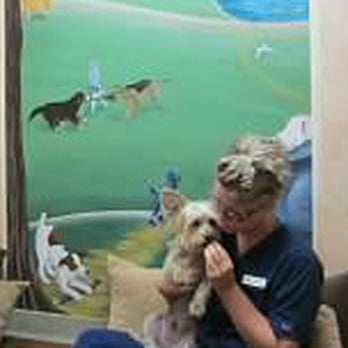 Westgate Pet Clinic - Westgate Pet Clinic Comfort Room - Veterinarians Near Me - Minneapolis, Minnesota Westgate Pet Clinic - Westgate Pet Clinic Comfort Room - Veterinarians Near Me - Minneapolis, Minnesota
