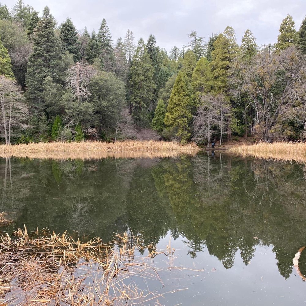 Lake Henshaw Resort - Hiking Near Me - Santa Ysabel, California