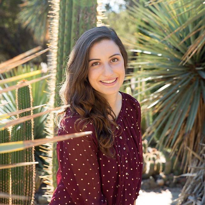 Hedgehog Speech Therapy - child therapist in Saratoga, CA