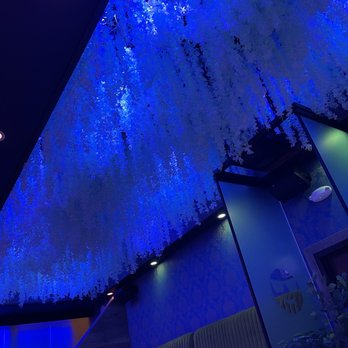 Garden Rooftop - Beautiful decoration in the ceiling - New American Near Me - Baltimore, Maryland