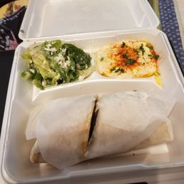 Gyro Plate