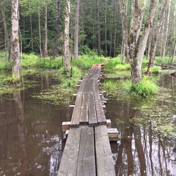 Quincy Bog Natural Area - Parks Near Me - Rumney, New Hampshire