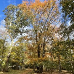 South Kingstown Land Trust Sculpture Park/Trail - Brilliant foliage complements the sculptures