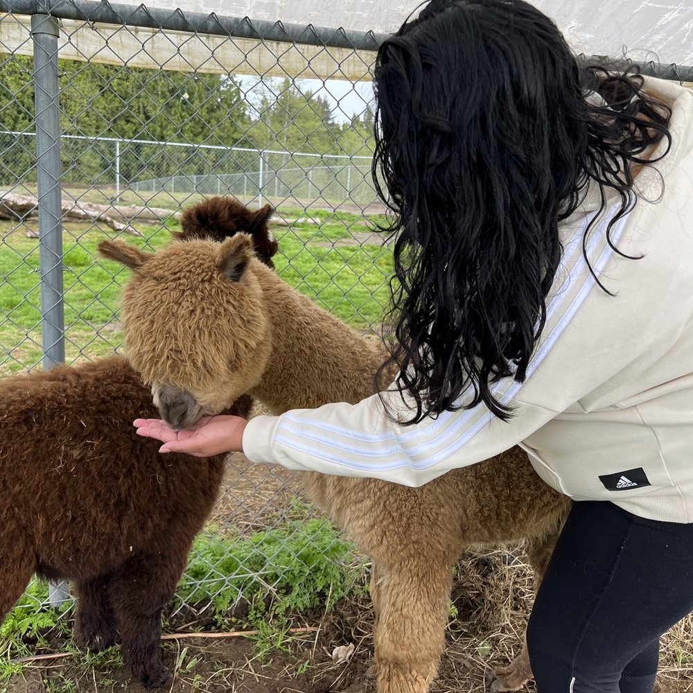Four Sisters Farm - Attraction Farms Near Me - La Center, Washington